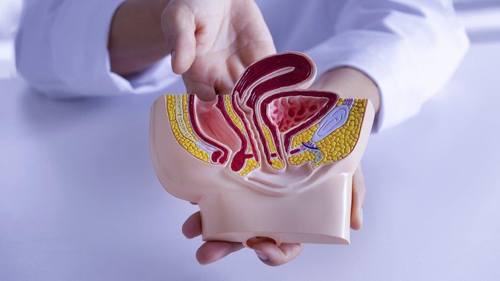 Urología en Clínica Ortega Huancayo